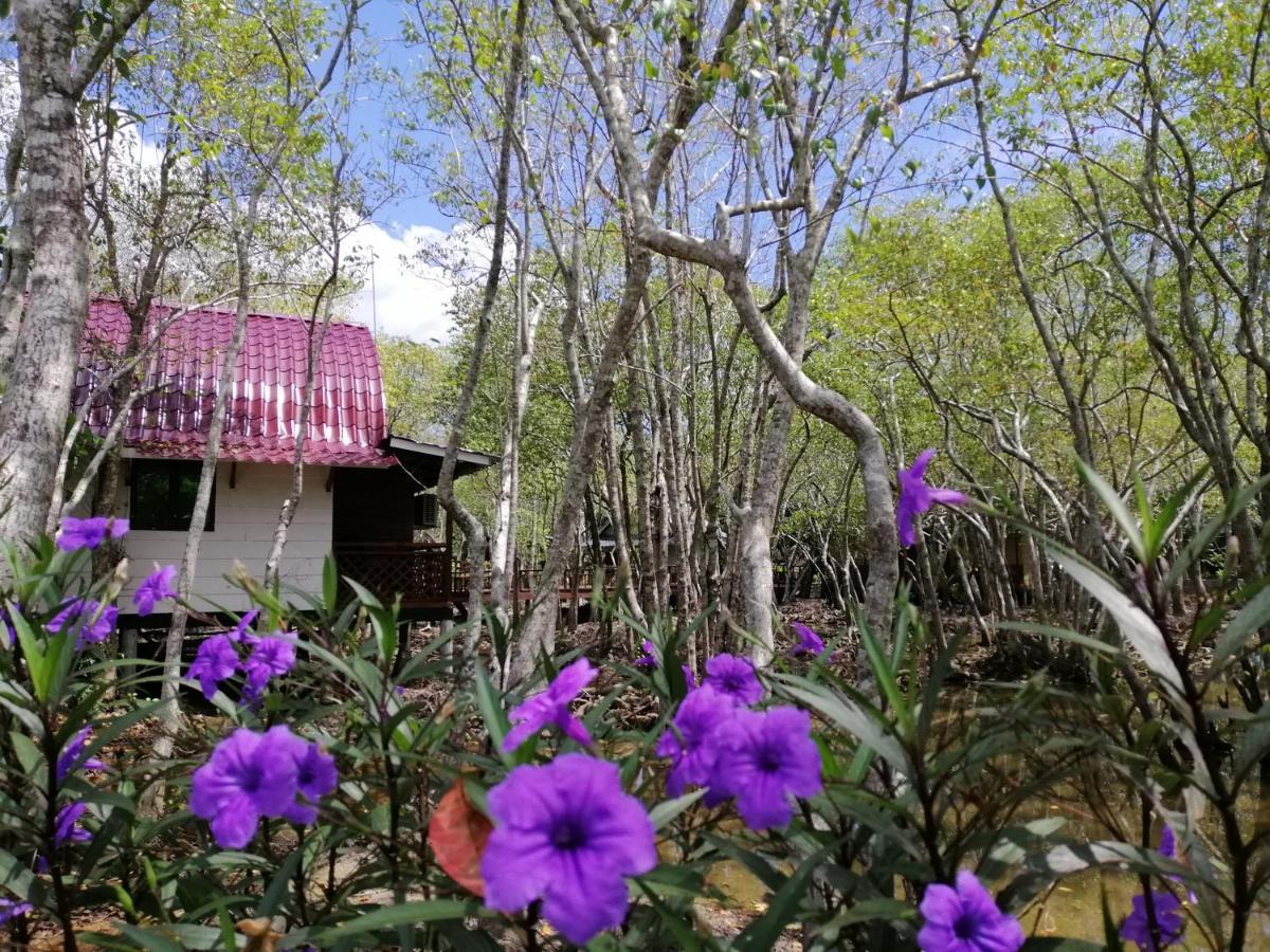 Api-Api Eco Chalet Pantai Kok Eksteriør billede